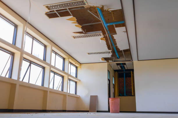 Best Flooded house restoration  in Water Mill, NY