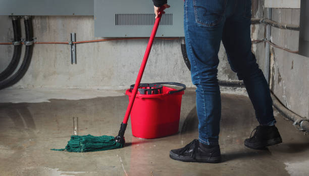 Best Water damage restoration insurance claims  in Water Mill, NY
