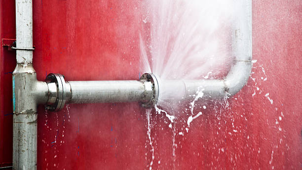 Best Professional water damage repair  in Water Mill, NY